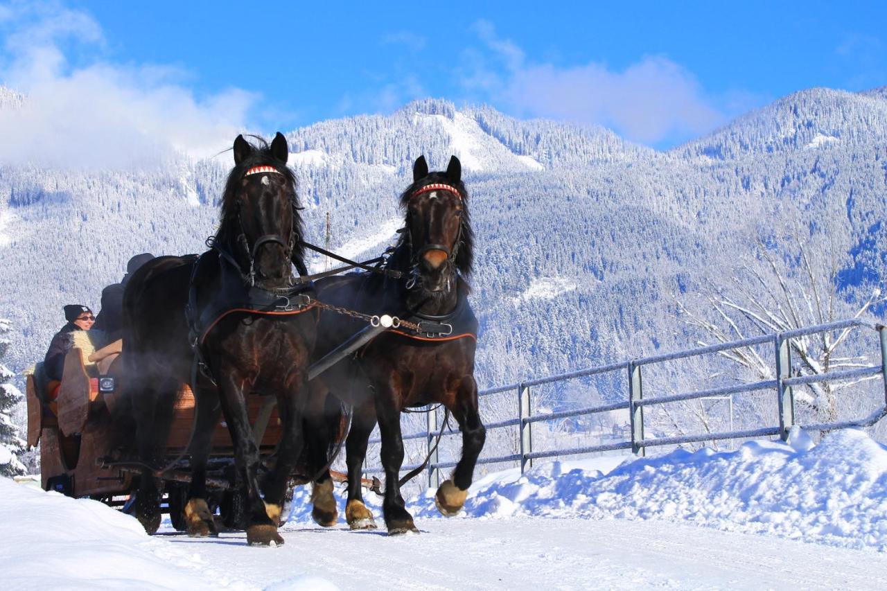 Vitalhotel Gosau Extérieur photo